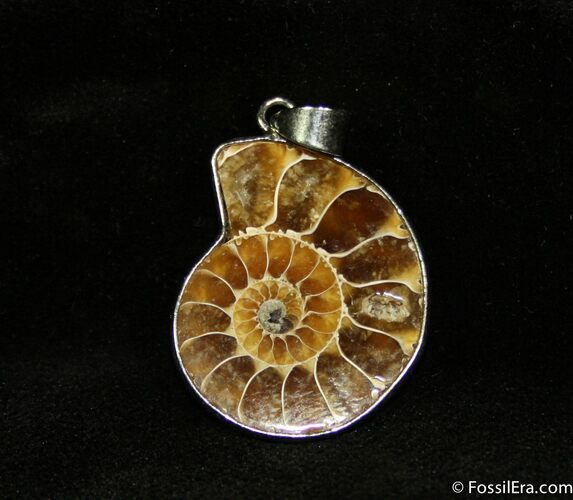 Ammonite Pendant #669